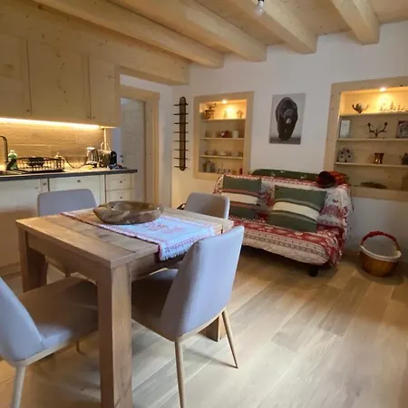 The Wooden House Apartment Valle di Cadore Exterior photo