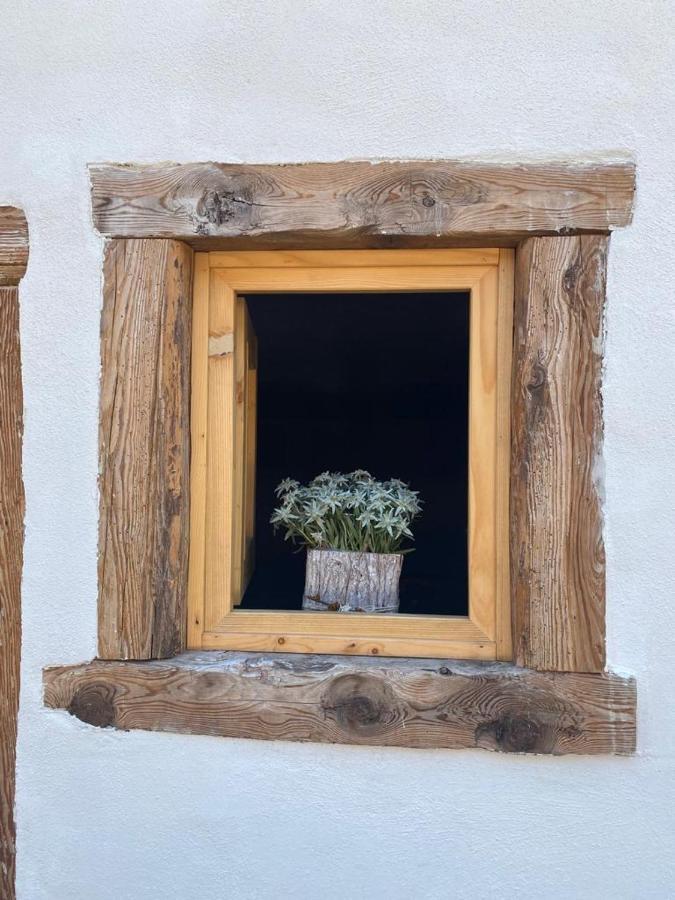 The Wooden House